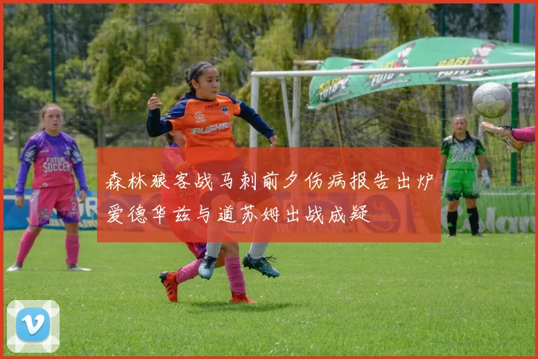 森林狼客战马刺前夕伤病报告出炉爱德华兹与道苏姆出战成疑